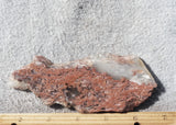 Curiosity Shop Rock Slab 399