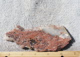 Curiosity Shop Rock Slab 399