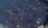 Curiosity Shop Rock Slab 440