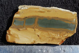 Oregon Picture Jasper Rock Slab 491