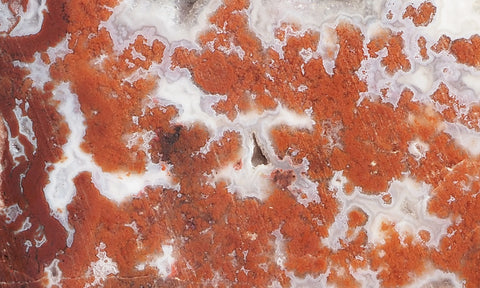 Cady Mountain Rock Slab 186