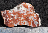 Cady Mountain Rock Slab 186