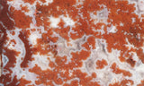 Cady Mountain Rock Slab 189
