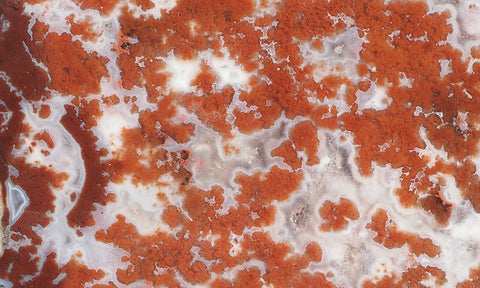 Cady Mountain Rock Slab 189
