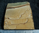 Cripple Creek Jasper Rock Slab 71