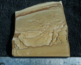 Cripple Creek Jasper Rock Slab 70