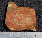 Caressite Rock Slab 195