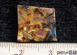 Pietersite Slab 411