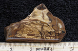 Biggs Jasper Rock Slab 471