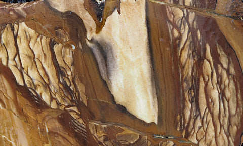 Biggs Jasper Rock Slab 463