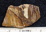 Biggs Jasper Rock Slab 463