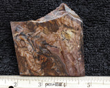 Biggs Jasper Rock Slab 474