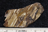 Biggs Jasper Rock Slab 483