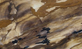 Biggs Jasper Rock Slab 483