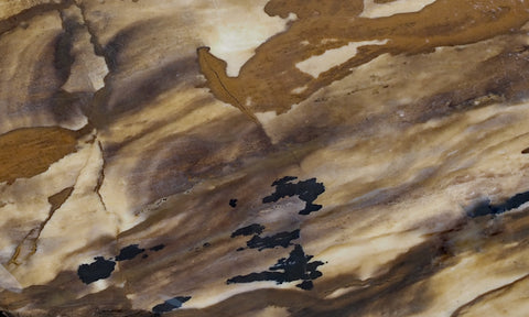 Biggs Jasper Rock Slab 483