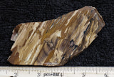 Biggs Jasper Rock Slab 483