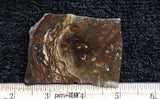 Biggs Jasper Rock Slab 466