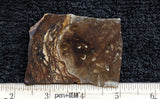 Biggs Jasper Rock Slab 466