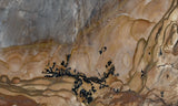 Biggs Jasper Rock Slab 458