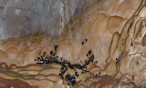 Biggs Jasper Rock Slab 458