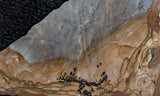 Biggs Jasper Rock Slab 458