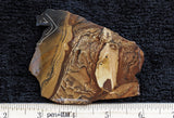 Deschutes Jasper Rock Slab 91