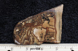 Deschutes Jasper Rock Slab 90