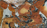 Maligano Jasper Rock Slab 86
