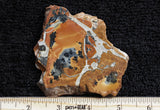 Maligano Jasper Slab 12