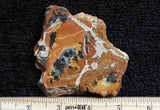 Maligano Jasper Slab 12