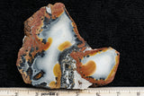 Maligano Jasper Rock Slab 3