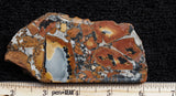 Maligano Jasper Slab 11