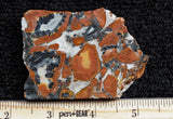 Maligano Jasper Rock Slab 89
