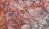 Sagenitic Coral Slab 498