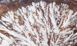 Snowflake Laguna Slab 486