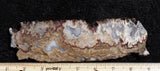 Blue Moon Plume Agate Slab 457