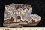 Blue Moon Plume Agate Slab 468