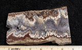 Blue Moon Plume Agate Slab 454