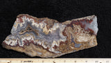 Blue Moon Plume Agate Slab 490