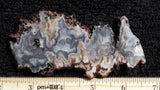 Blue Moon Plume Agate Slab 483