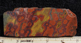 Morgan Hill Poppy Jasper Rock Slab 25