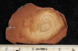 Bruneau Jasper Rock Slab 445