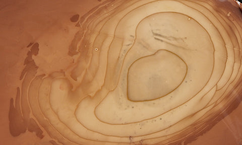 Bruneau Jasper Rock Slab 445