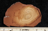 Bruneau Jasper Rock Slab 445
