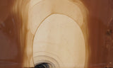 Bruneau Jasper Rock Slab 452