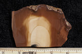 Bruneau Jasper Rock Slab 452