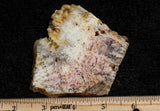 Feather Ridge Plume Agate Rock Slab 19