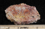 Feather Ridge Plume Agate Rock Slab 17