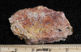 Feather Ridge Plume Agate Rock Slab 17