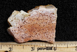 Feather Ridge Plume Agate Rock Slab 20